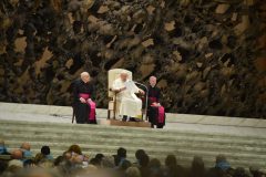 Papa Francesco durante l'udienza