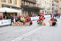 StraBologna 2023 29 ottobre 2023 Bologna