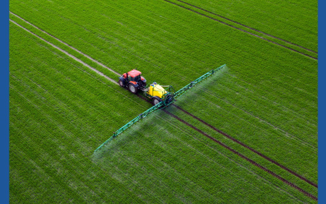 Nuova Sabatini, contributi per agricoltura, pesca e acquacoltura